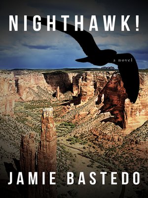 cover image of Nighthawk!